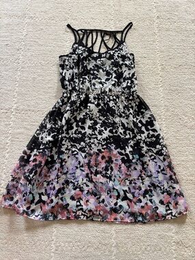 Studio Y Black & Multicolor Floral Midi Dress